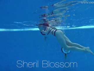 Sheril blossom smashing ρωσικό υποθαλάσσια, hd x βαθμολογήθηκε βίντεο bd