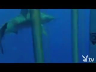 Telanjang gadis di sebuah shark kurungan!